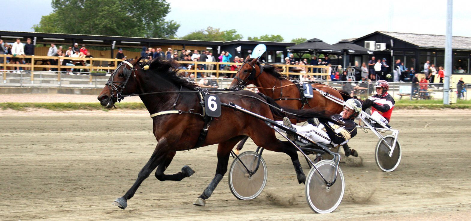 Staro Next Move ved en af sine mange sejre på Nykøbing Falster Travbane.