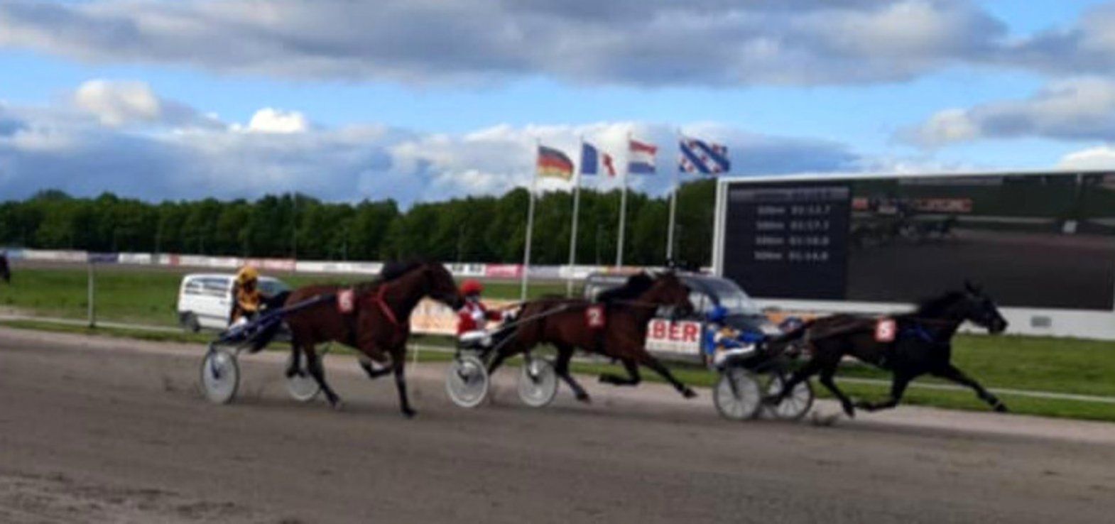 En andenplads med Olivia Dragon i sidste afdeling blev bedste placering for Mariann T. Nielsen ved EM.