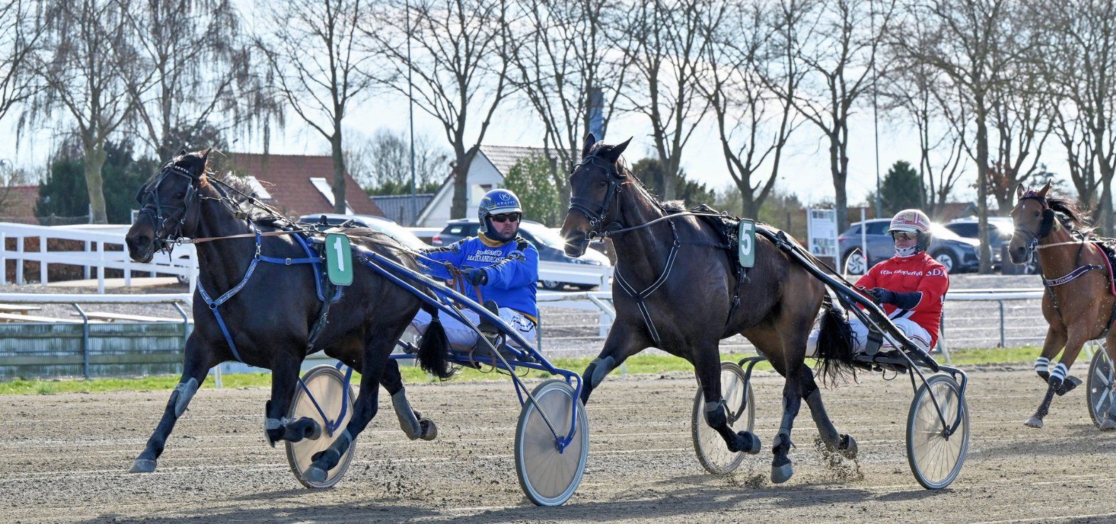 Skive-amatøren Martin Andreasen vinder i Odense med Joey Gardenia.