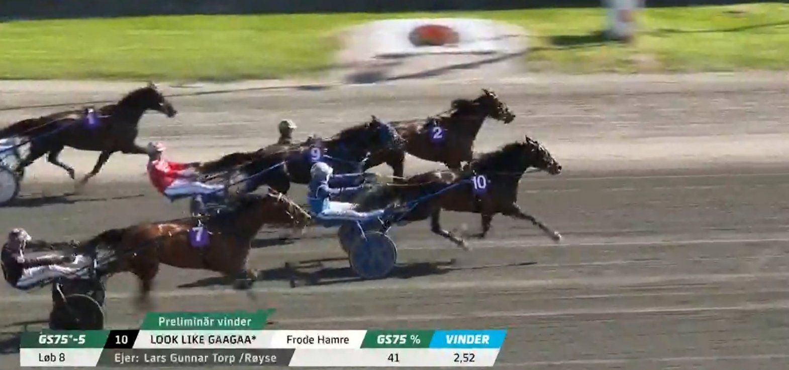 Look Like Gaagaa har fortsat ikke prøvet at forlade en travbane i taberens rolle.