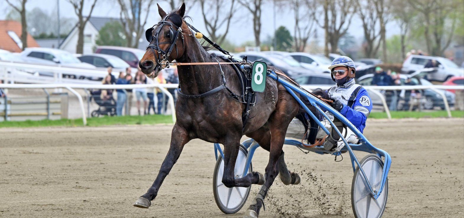 Justgivemeareason vandt let overlegent senest i Odense. Mandag aften er den favorit i Skive.