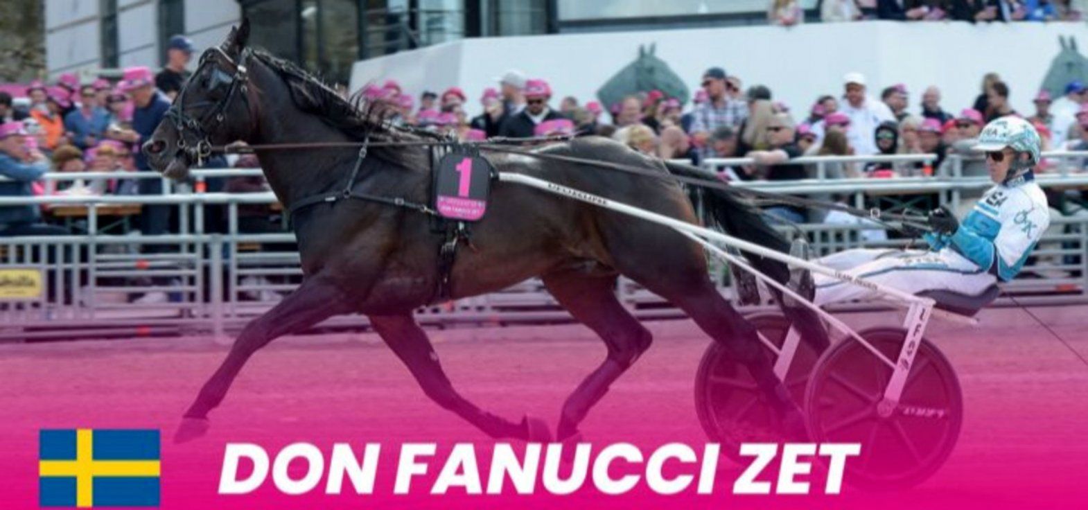 Oddssætteren hos Bet25 forventer stensikker kvalifikation til finalen for Daniel Redén-trænede Don Fanucci Zet.
