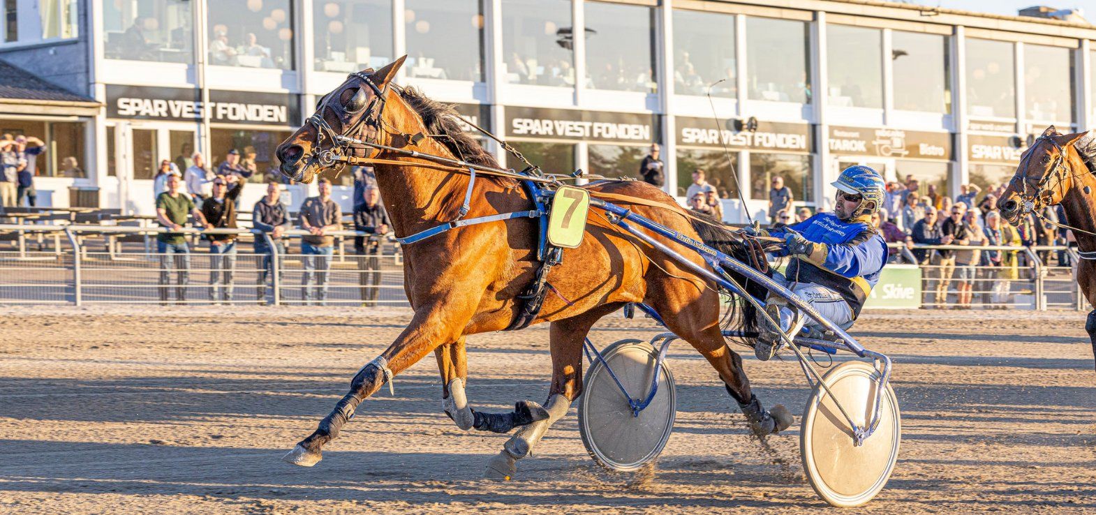 Amazone Shadow vinder sin sidste start for sin ejer og træner Martin Andreasen.