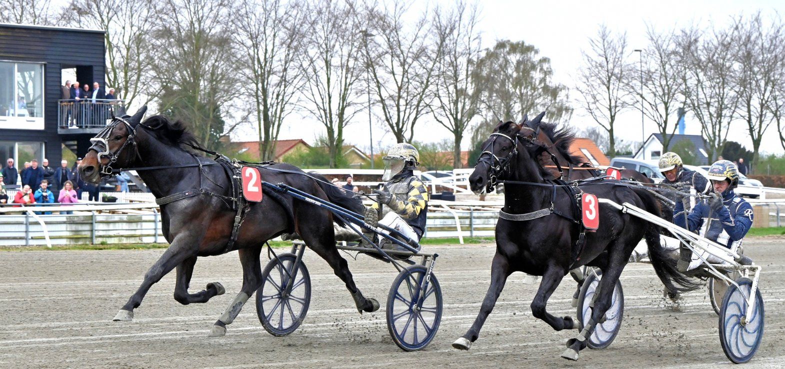 Pure Steen (2) vinder her i Odense med Birger Jørgensen i sulkyen.