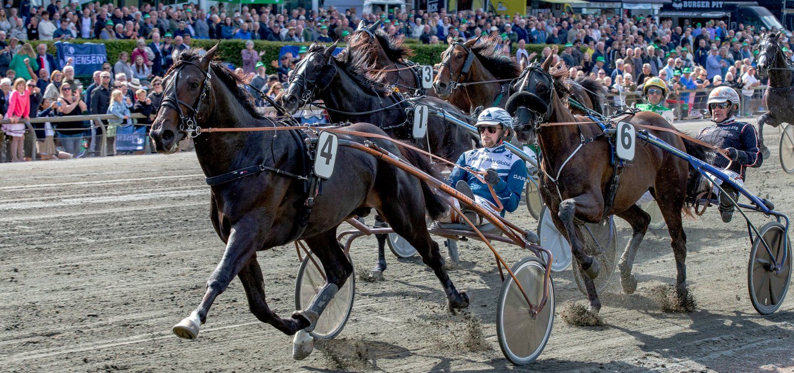 Our Love vinder på Derbydagen i 2024 med Magnus A. Djuse i sulkyen.