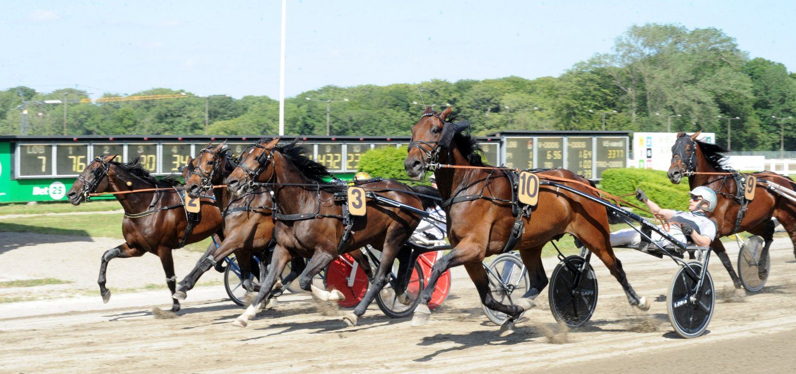 Fire heste på stribe kæmpede om sejren i Jydsk 4-årings Grand Prix 2025.