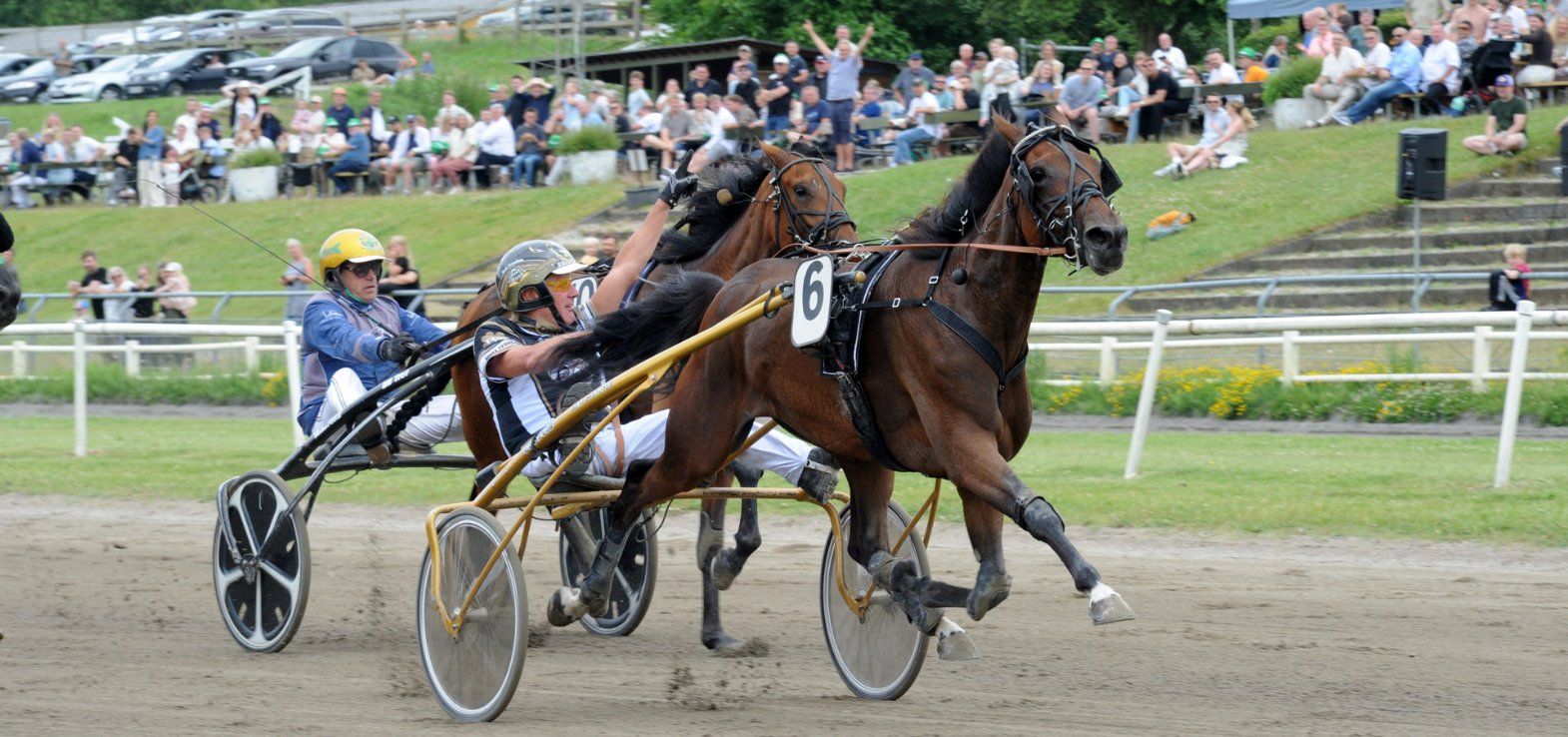 Skive-træner Bent Svendsen vinder i Grand Prix-weekenden med oddsbomben Kylie By Hans