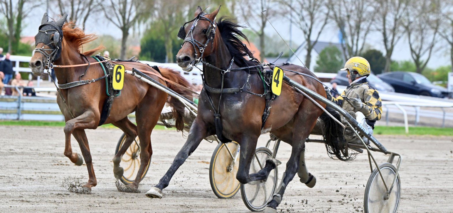 Kung Fu Dot Com ved seneste start/sejr i Odense.