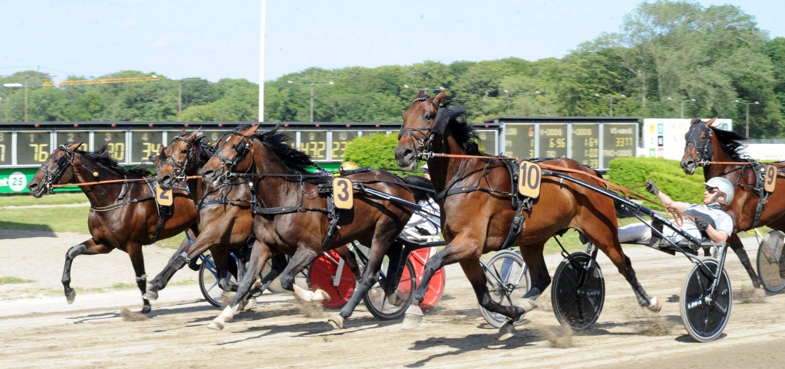 Opløbet i Jydsk 4-årings Grand Prix var helt fantastisk.