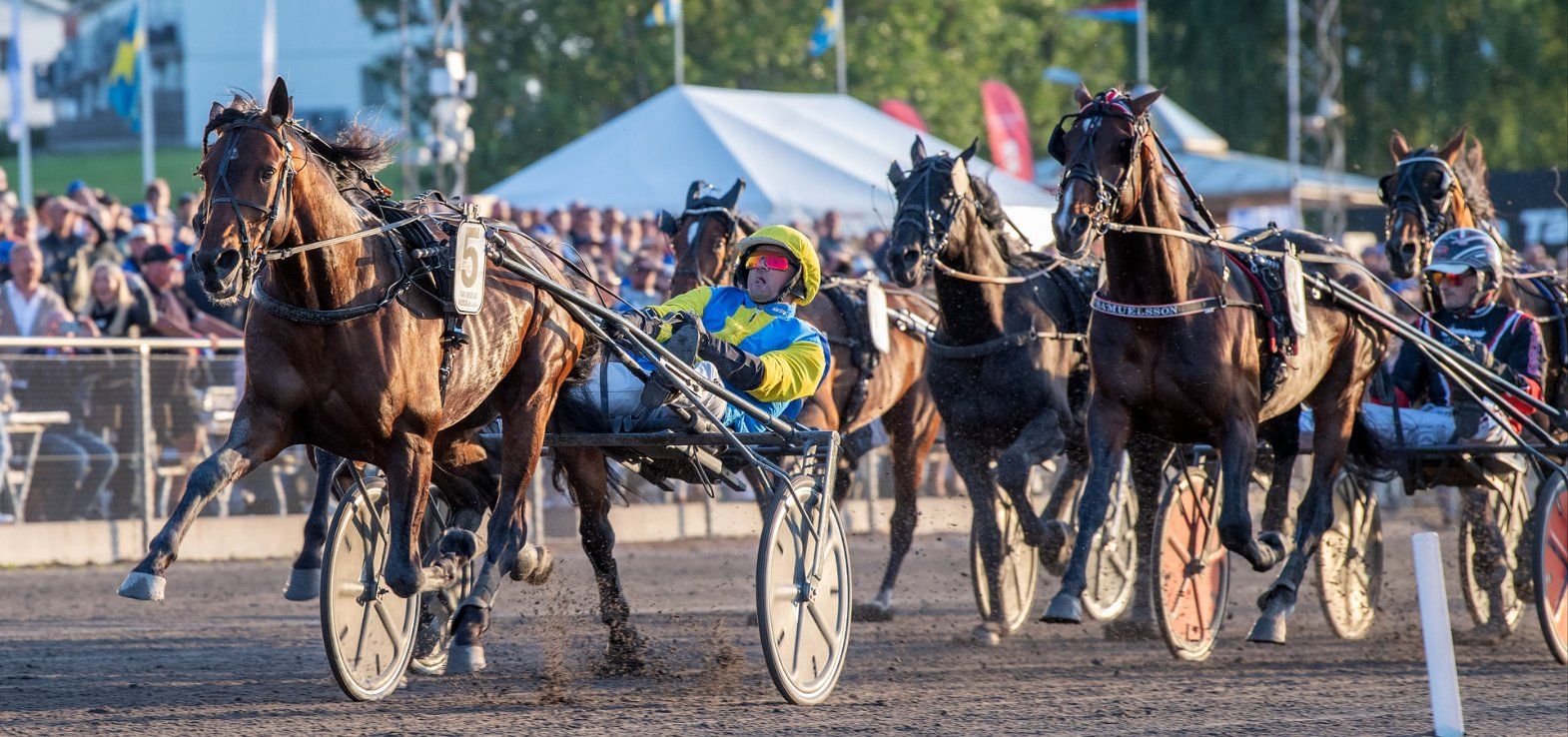 Far Wise As med Carl Johan Jepson vandt SprinterMästeren foran Free Time Jepson med Alessandro Gocciadoro.