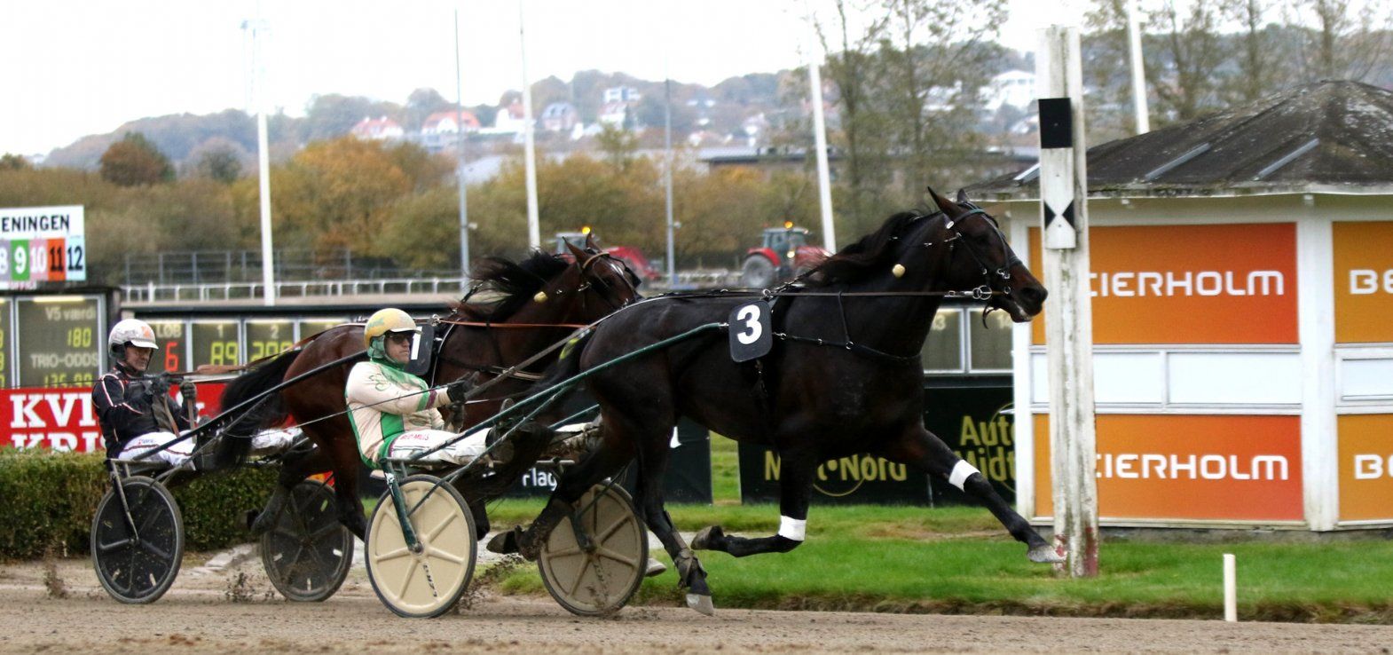Icebreaker ved sejren i Grand Circle 4-års Championat med Jeppe Juel i sulkyen.