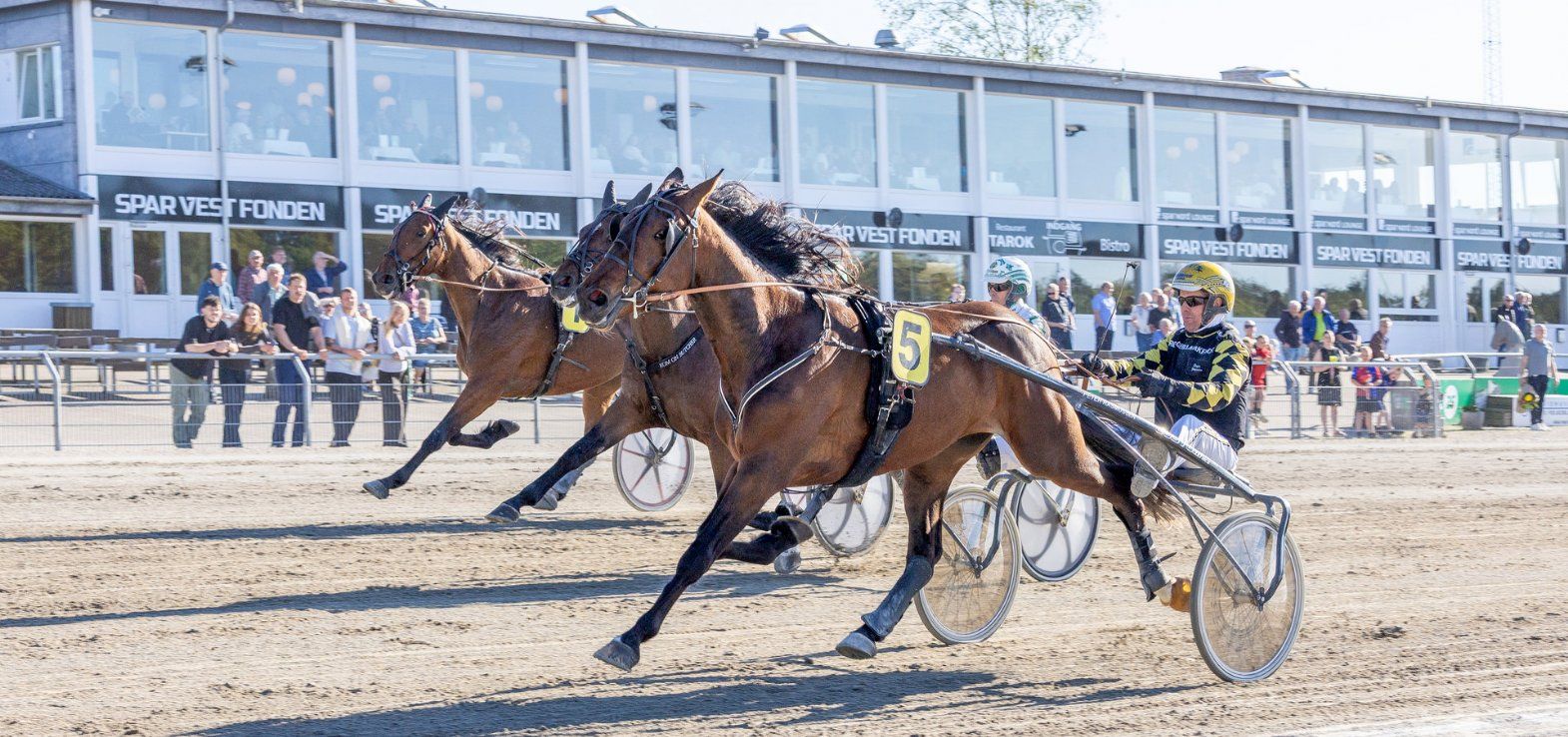 Lyon ved en tidligere sejr i Skive med Birger Jørgensen i sulkyen.