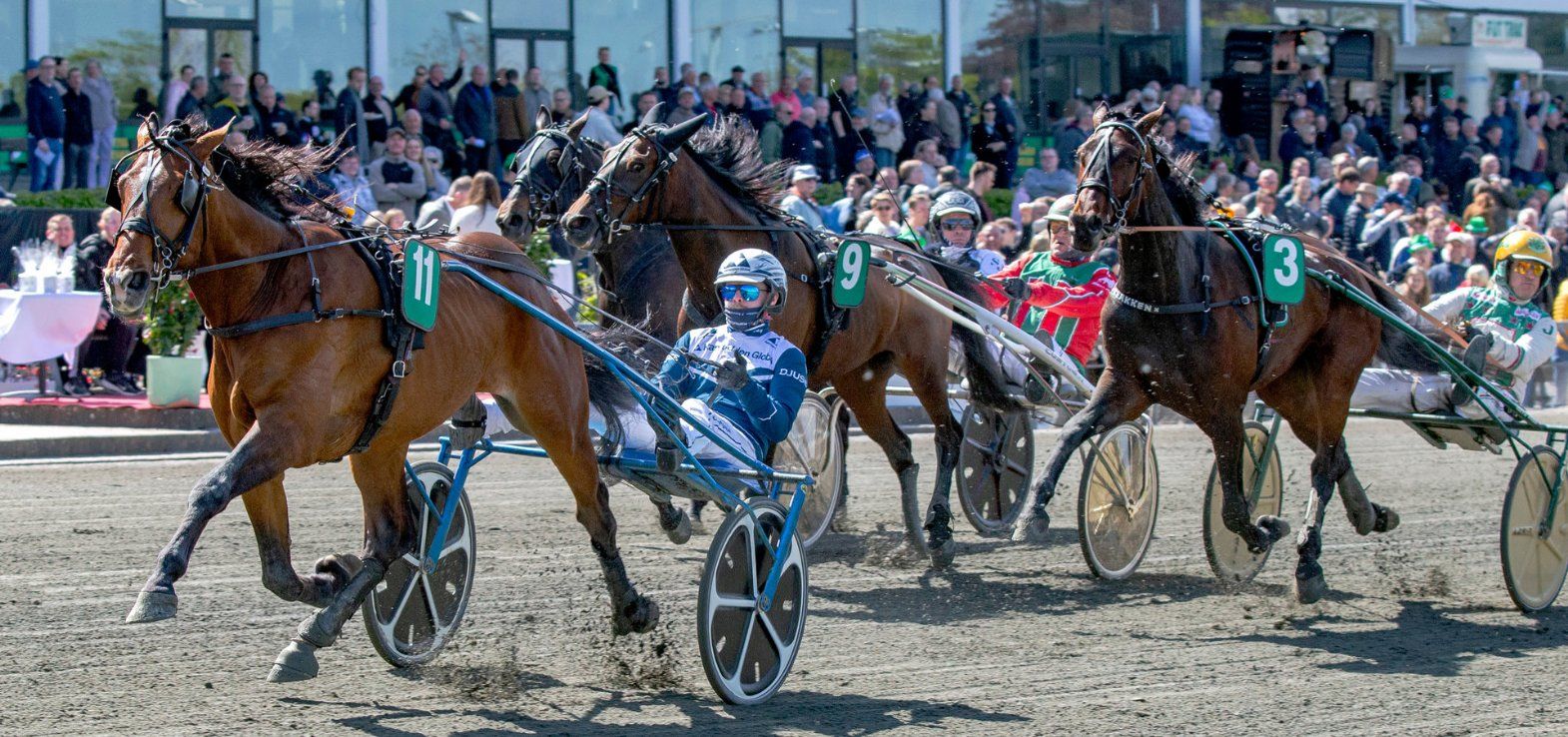 Justlikejessejames ved en sejr på Lunden på Copenhagen Cup-dagen.