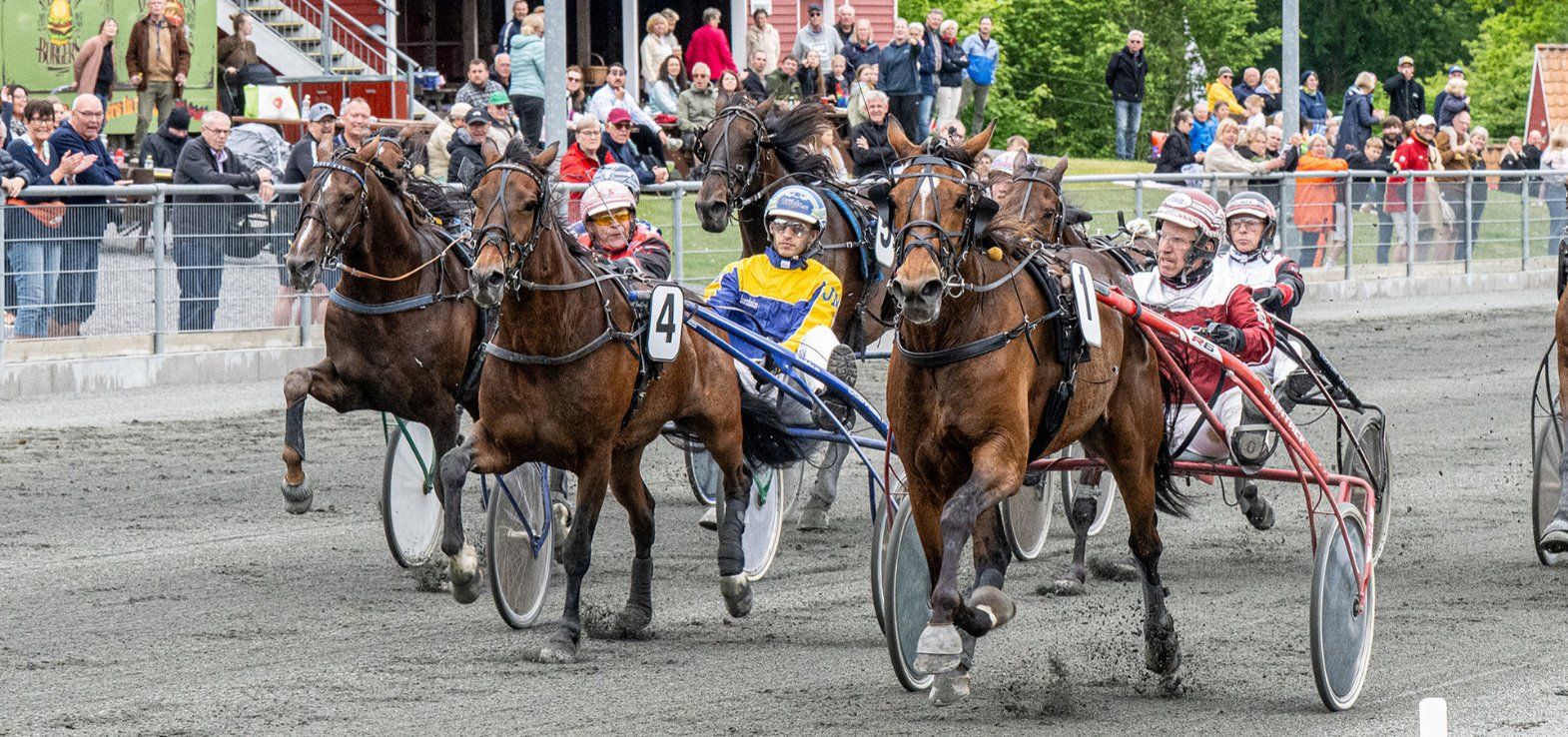 Bonny Boy vinder fra spids med Frank Mikkelsen i sulkyen 5. juni.