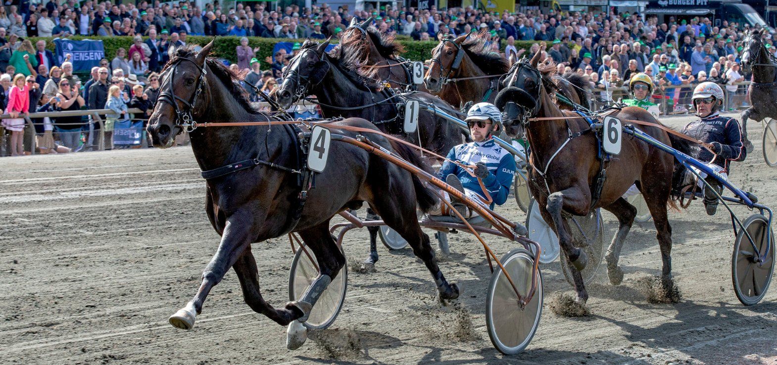 Our Brodde vinder på Derbydagen i 2024 med Magnus A. Djuse i sulkyen.
