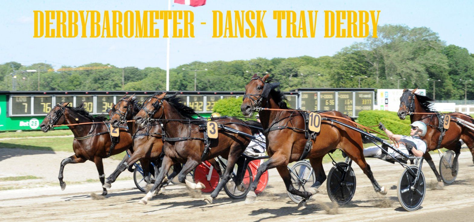 Opløbet i Jydsk 4-årings Grand Prix 2024 var et af de bedste hele året.