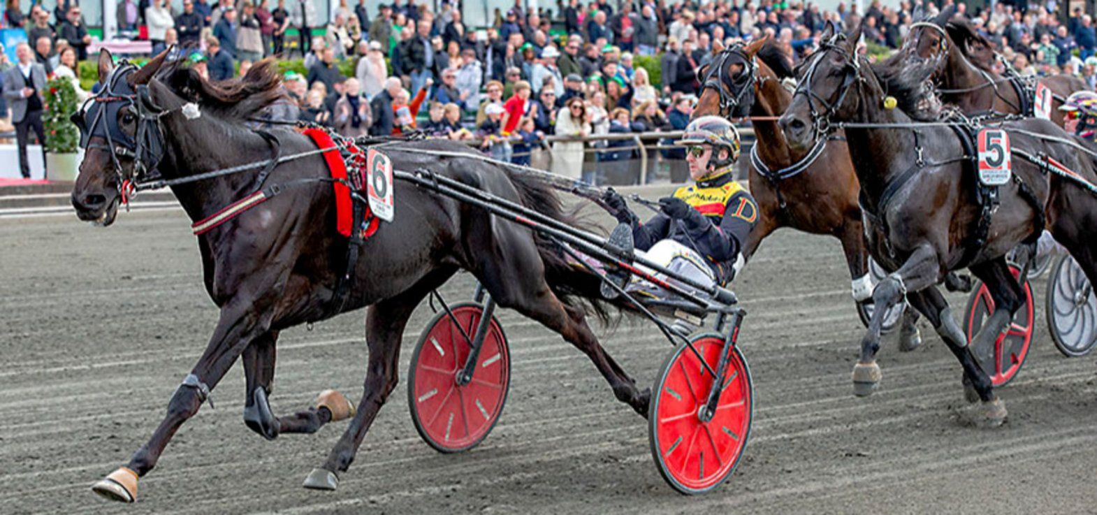 Diva Ek med Mats E. Djuse vandt Copenhagen Cup helt efter behag. 13. september skal Diva Ek være med i The International Trot - det uofficielle VM.