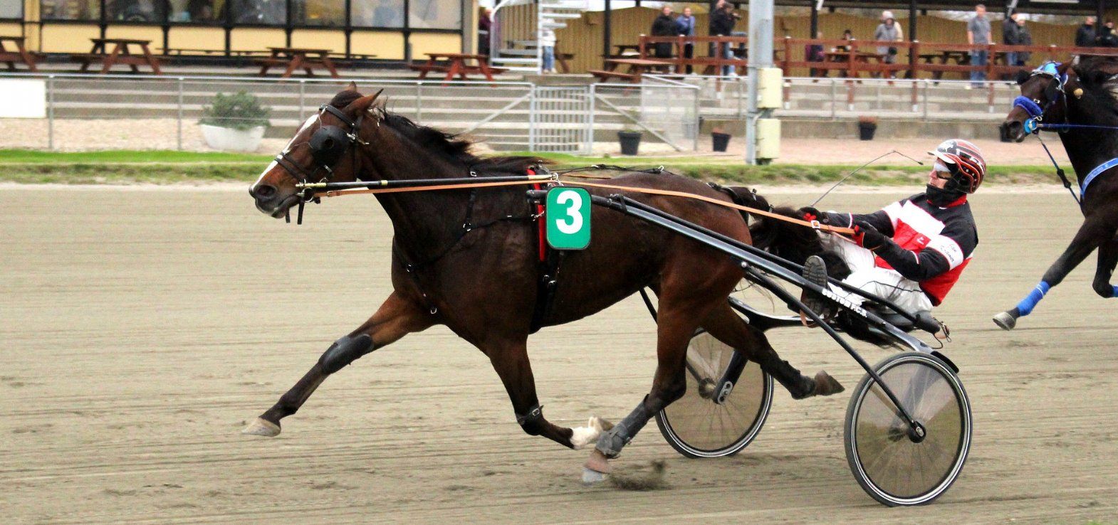 Ginetta ved en tidligere sejr på Nykøbing Falster Travbane med Jan Kramer i sulkyen.