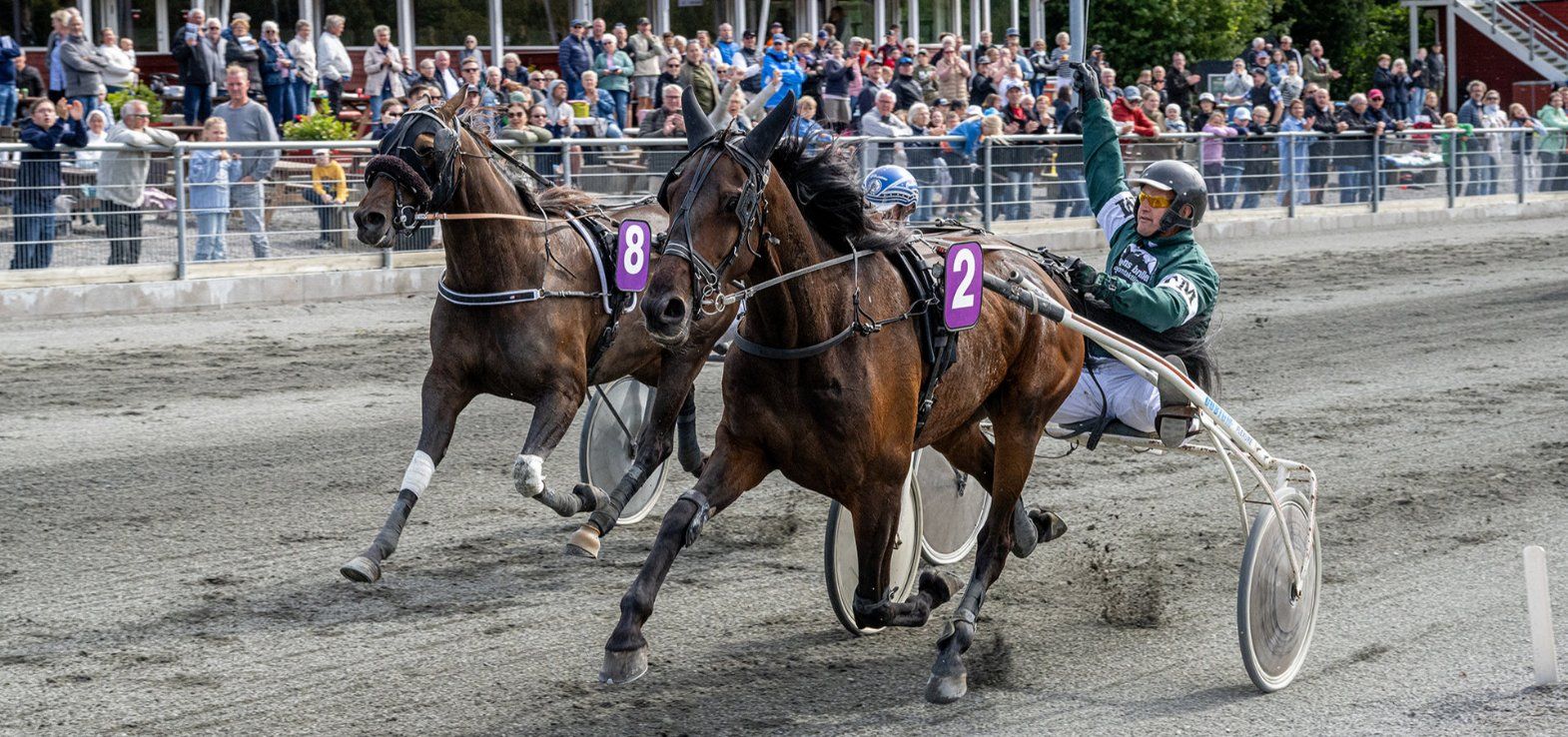 Inter Flamingo ved en sejr med Tonni Mogensen i sulkyen.