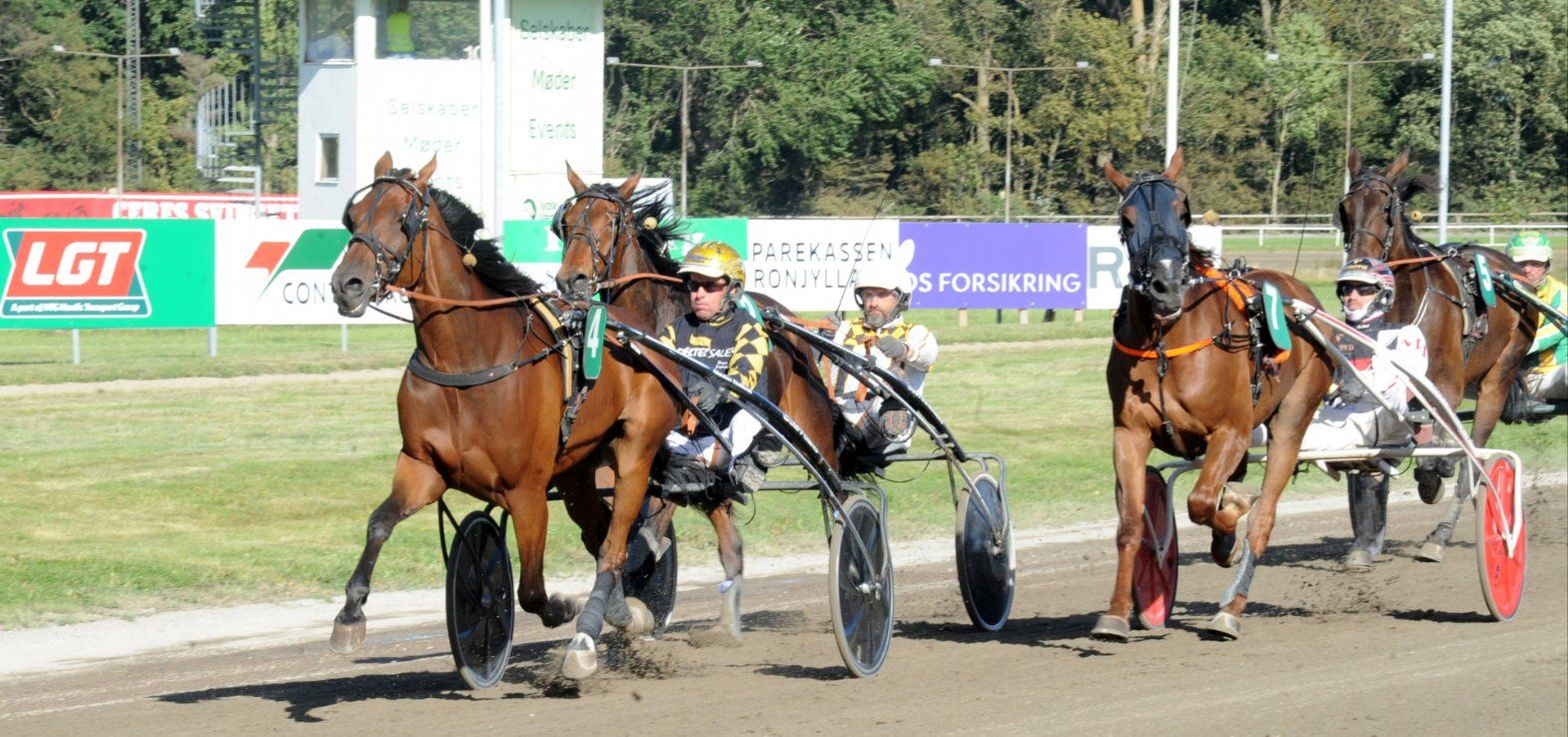 Kopper Dust har bagspor i dagens løb i Aarhus, men har alligevel vinderchance.