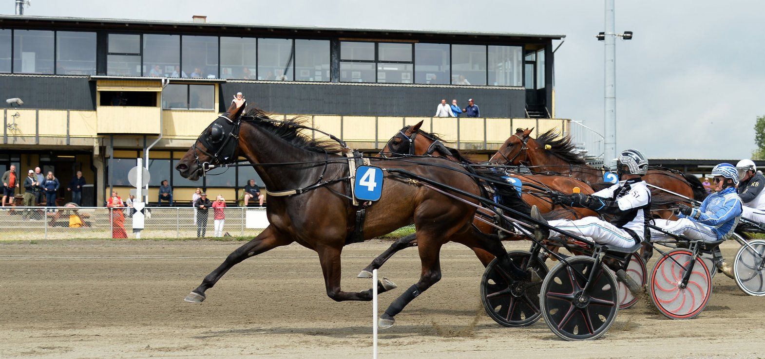 Highway Flamingo ved en af sine sejre på Falster i år.