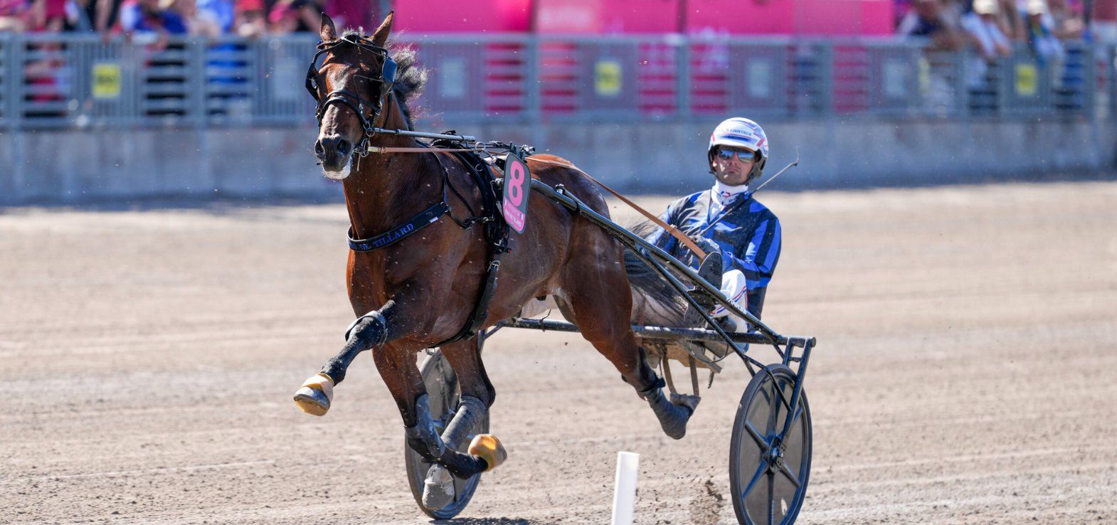 Idao de Tillard ved starten i Elitloppet på Solvalla i 2024, hvor det dog blev til galop.
