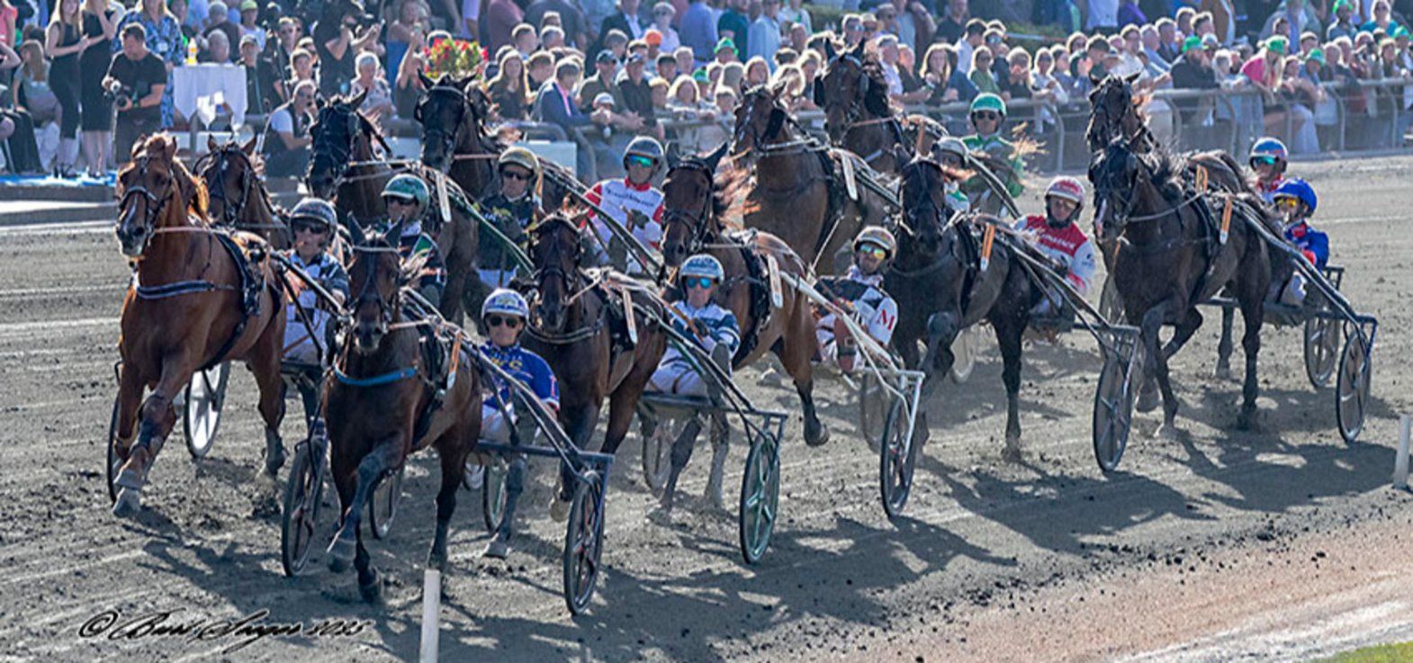 Kreadlys Lew i spids i Dansk Trav Derby 2025 på vej ud på sidste omgang.