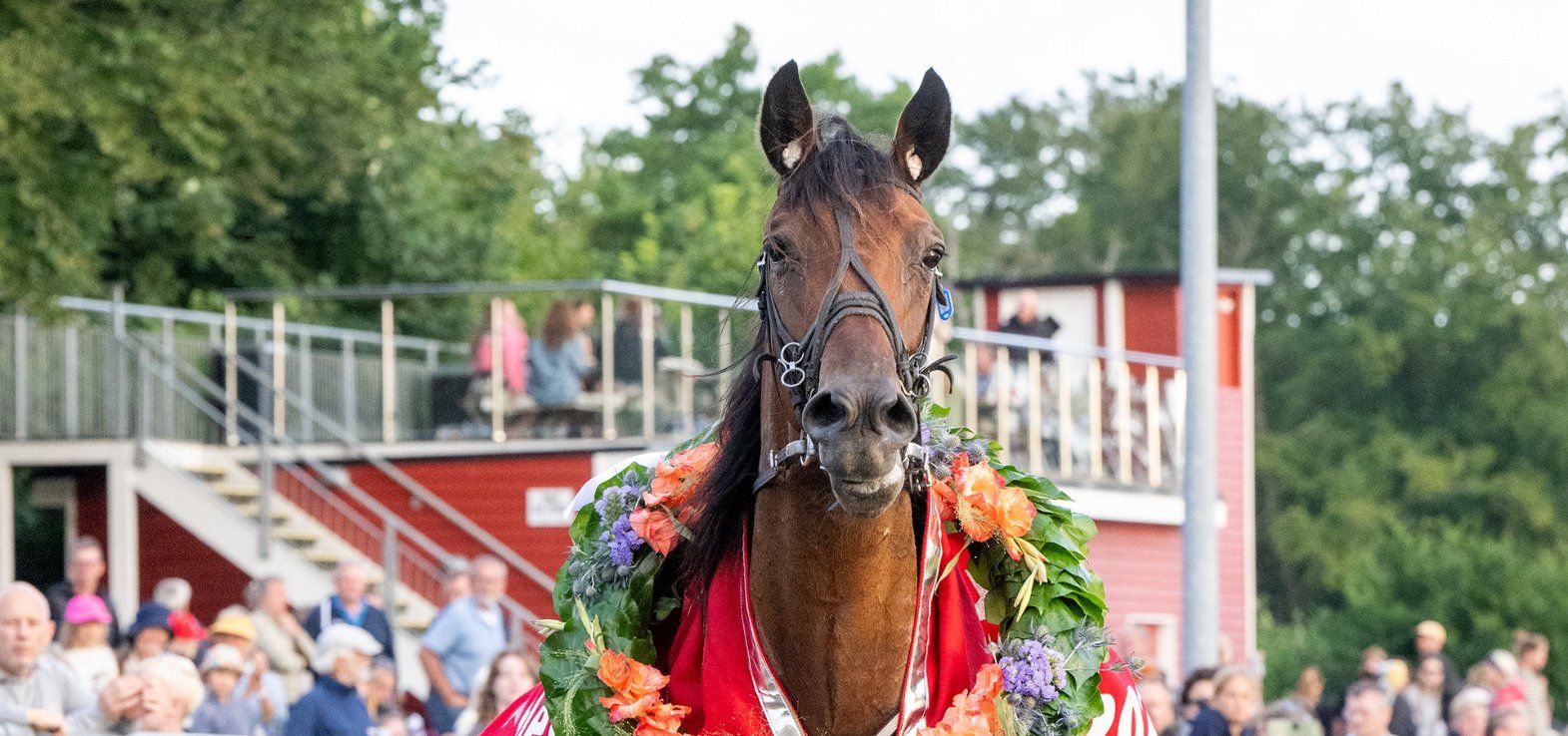 Beluga Onion efter sejren i Calles Cup 2024.