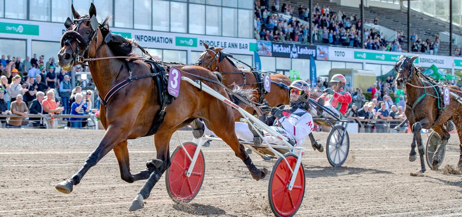 Harper ved sejren i Dansk Hoppe Derby 2023 med Michael Lønborg i sulkyen.