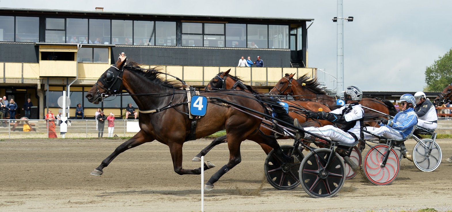 Highway Flamingo ved en af sine sejre på Falster i år.