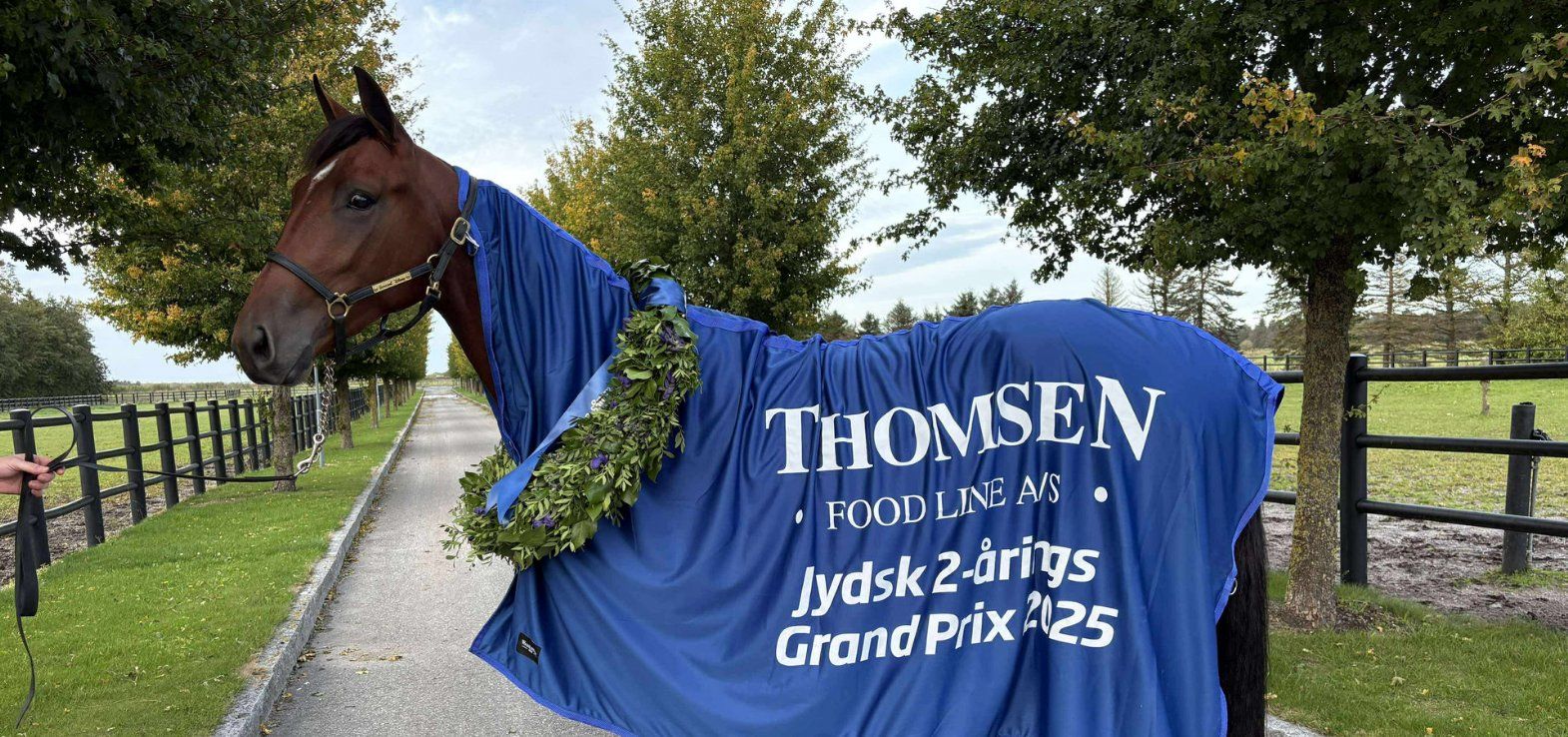 Menza hjemme på Enghavegård i Aalborg med flot dækken og laurbærkrans.