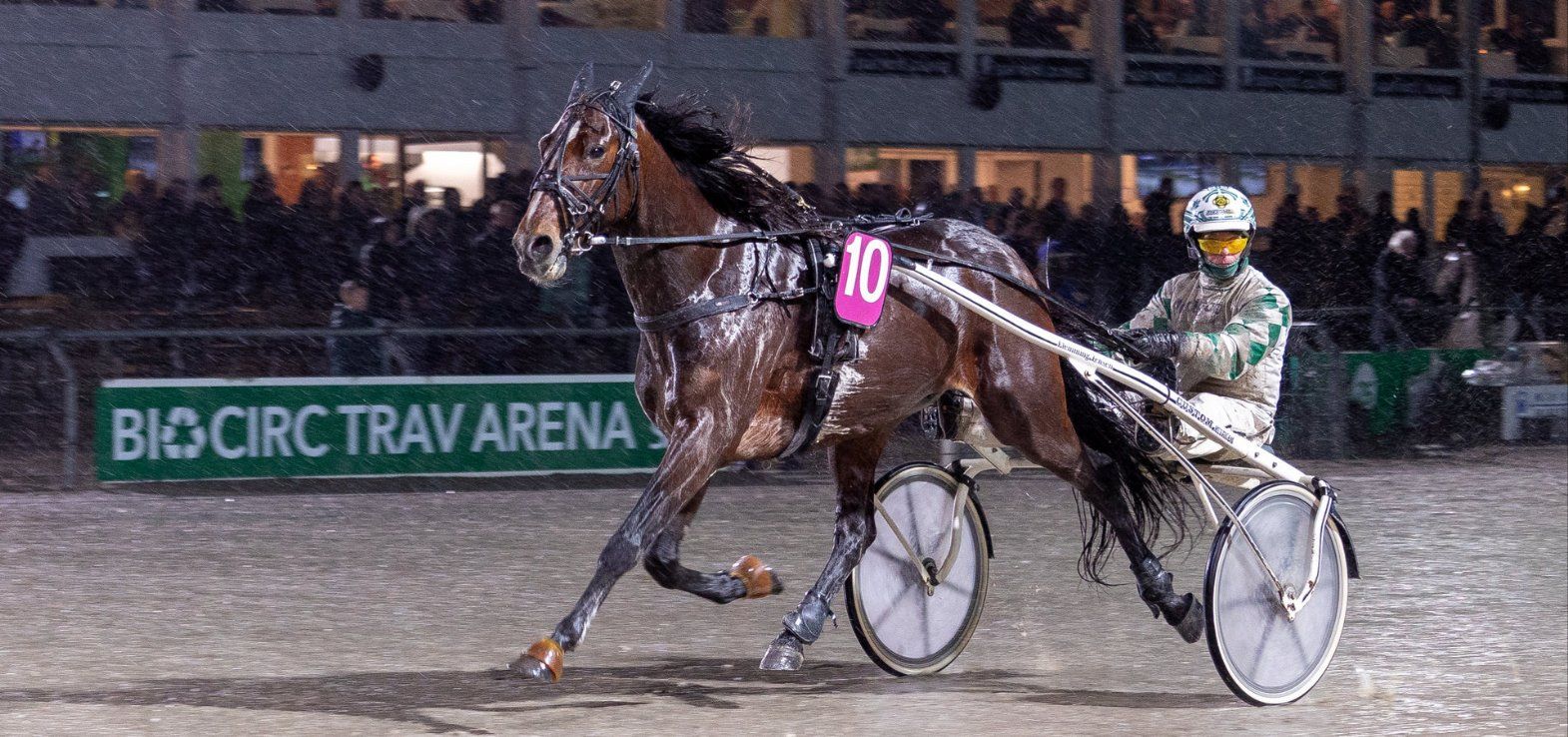 Even Steven med Flemming Jensen vinder i Skive. Mellem jul og nytår er der V85-spil i Skive.