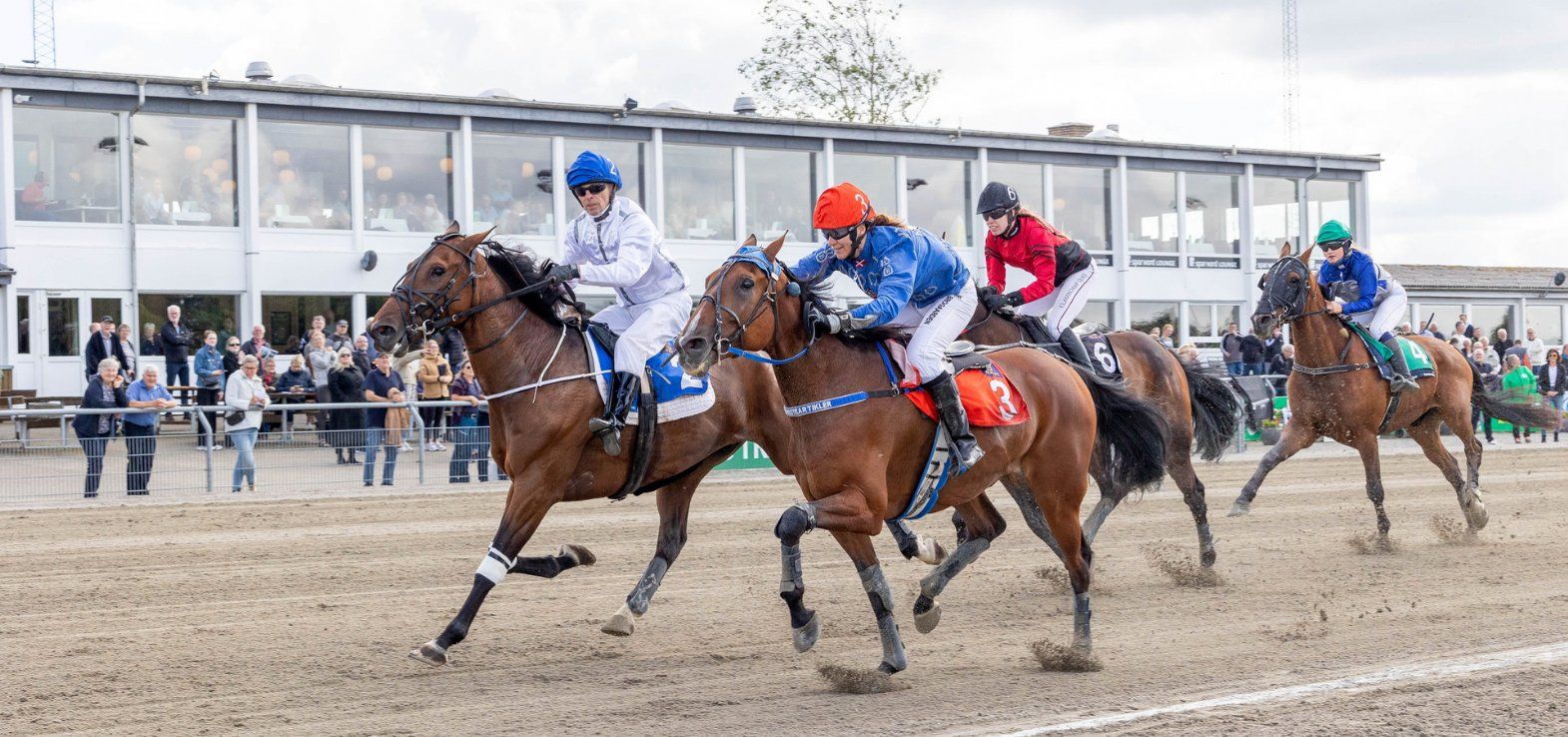 Eros Zola ved sejren i DM i Monté i 2024 med Aalborg-træner Flemming Jensen i sadlen foran Diamant Østervang med Tineke Borup.
