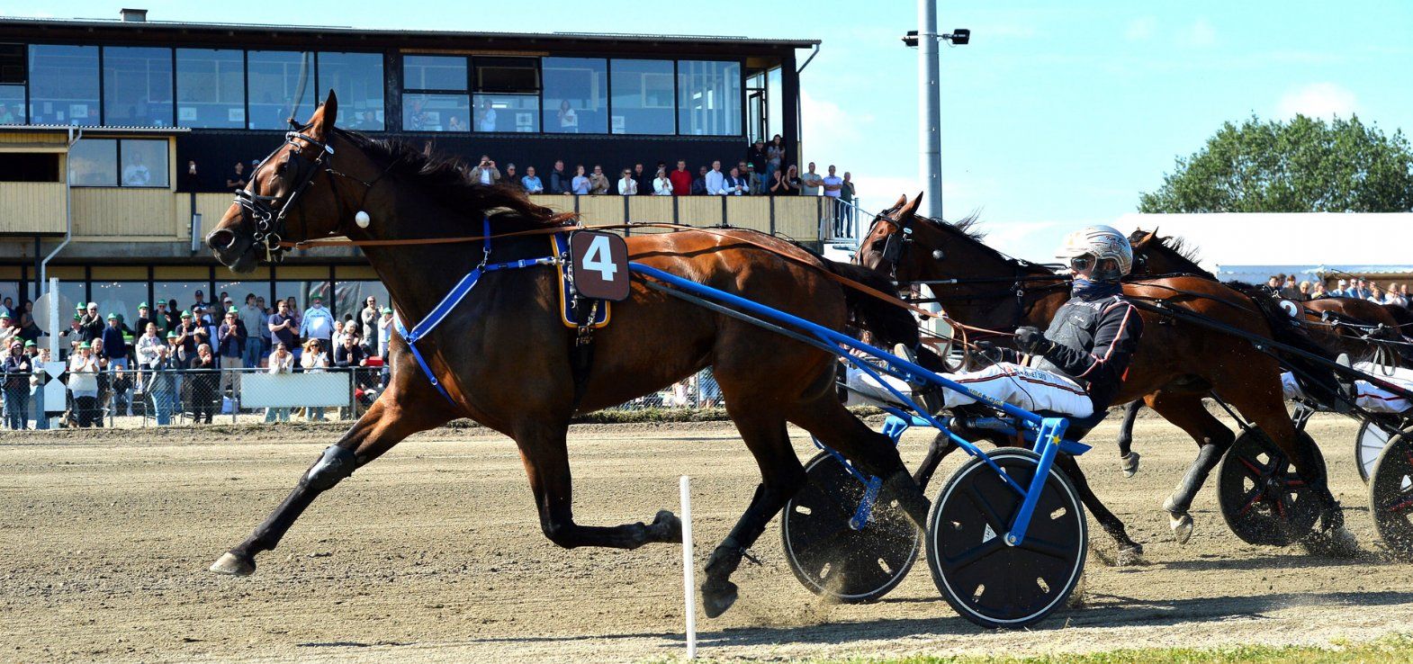 Henrik Will vandt Harald Lunds Mindeløb efter føring fra start til mål med Ken Ecce i sulkyen.