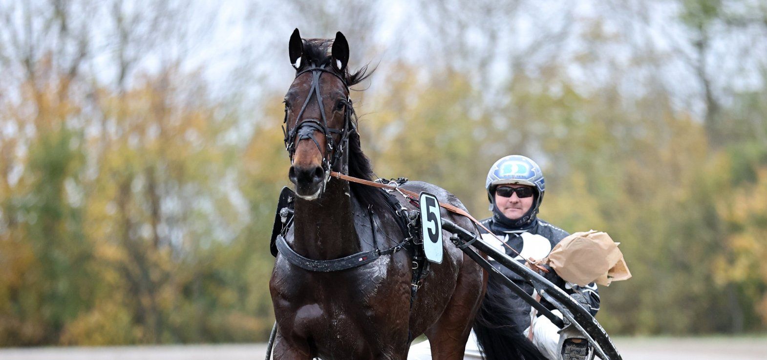 L O C efter en sejr i Aalborg med træner Morten Juul i sulkyen.
