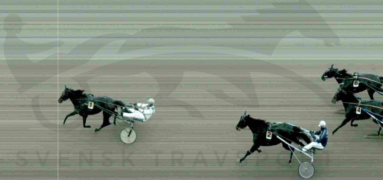 Lifestyle var en af mange danske vindere onsdag på Jägersro Travbane.