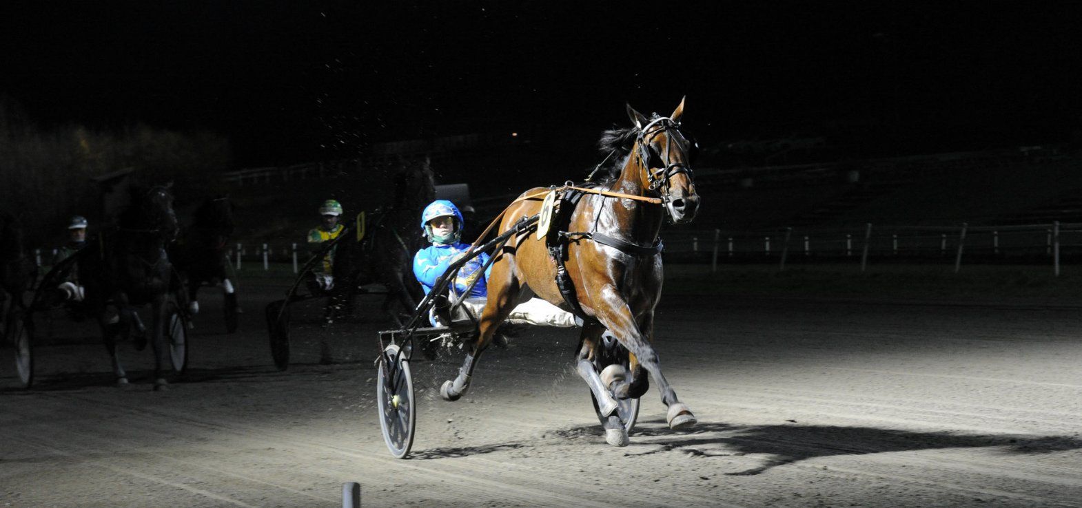 Donovan Face ved seneste sejr i Aarhus med Aalborg-træner Jeppe Juel i sulkyen.