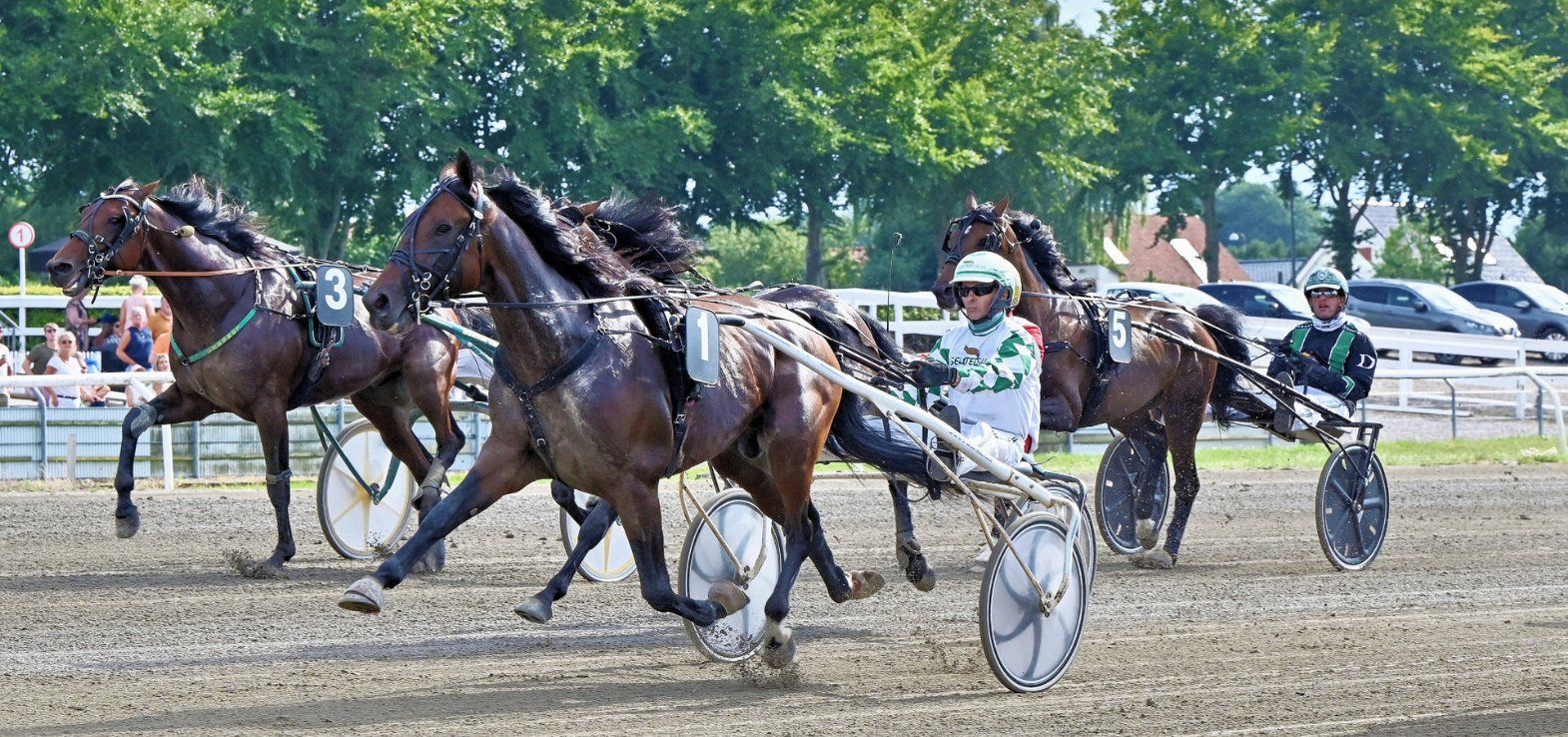 Thinker Monkey ved seneste start/sejr i Odense i juli måned.