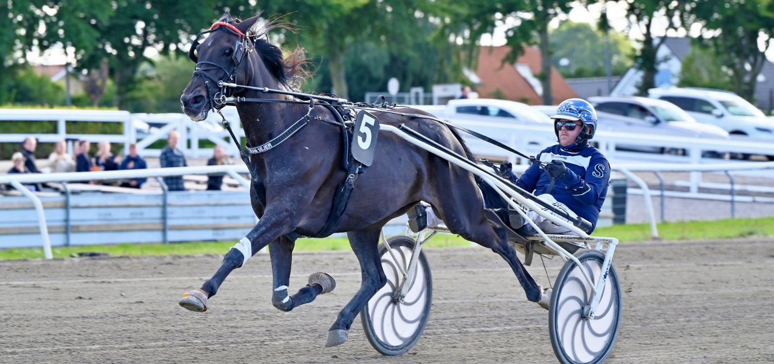 Christian Sejer vinder med Hej Bork på Fyens Væddeløbsbane.