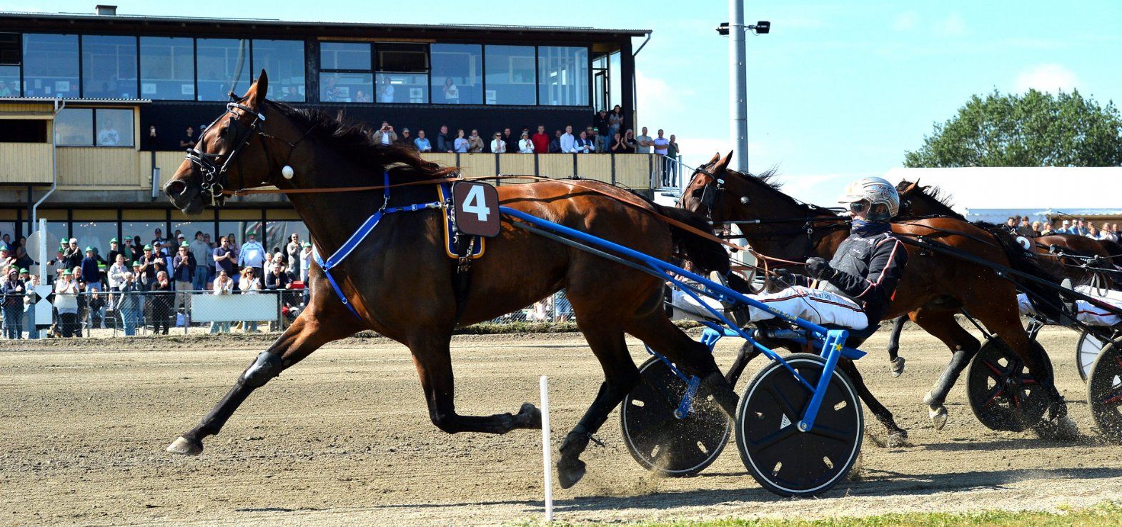 Henrik Will ved en sejr på Nykøbing Falster Travbane tidligere på året. Tirsdag eftermiddag er den favorit på Lunden.