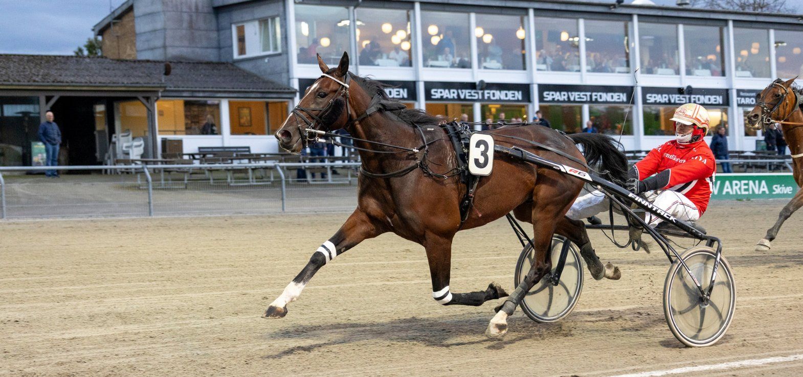 He Dares The Devil ved en sejr i Skive med Søren Demant Andersen.