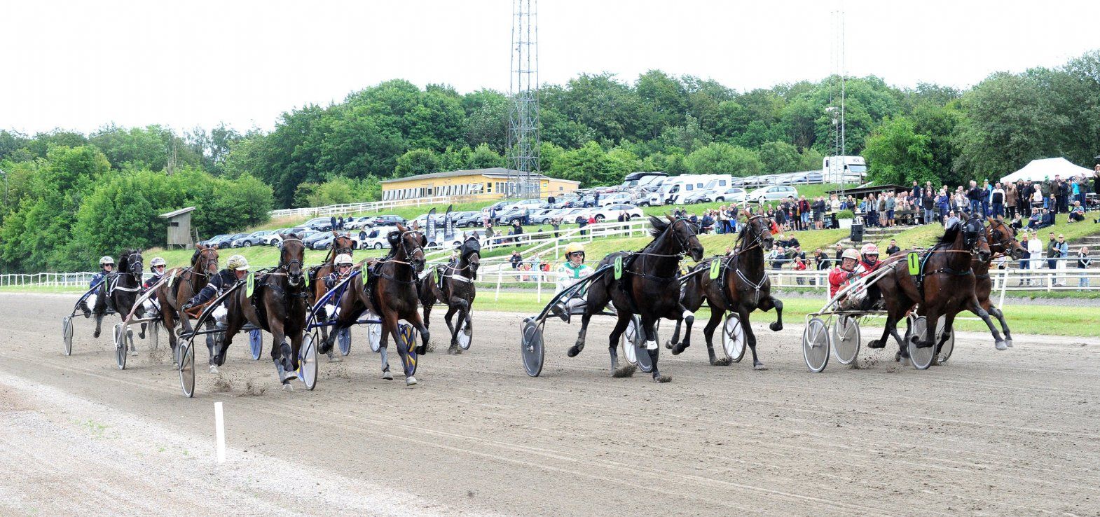 Opløbet i Jydsk 4-årings Grand Prix 2024 var et af de bedste hele året.