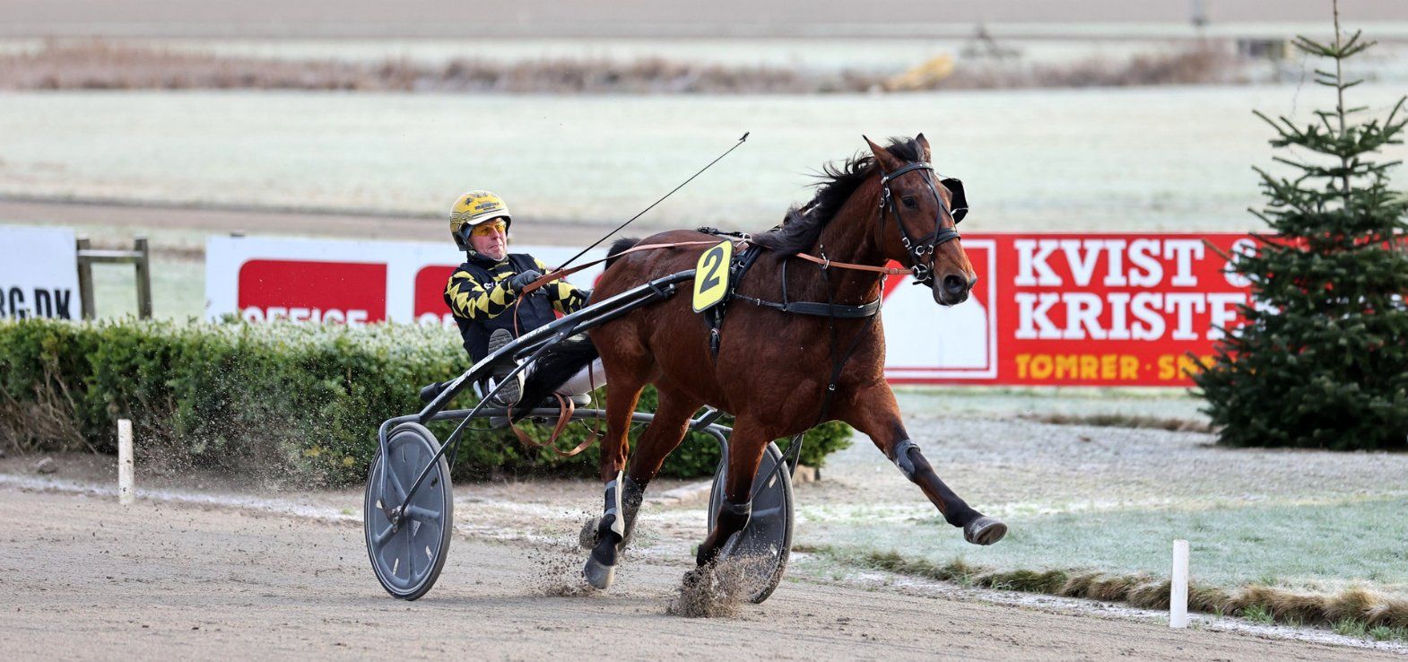 Pastor Pete ved en tidligere sejr i Aalborg. Mandag starter den Morten Juul-trænede hest i Skive.