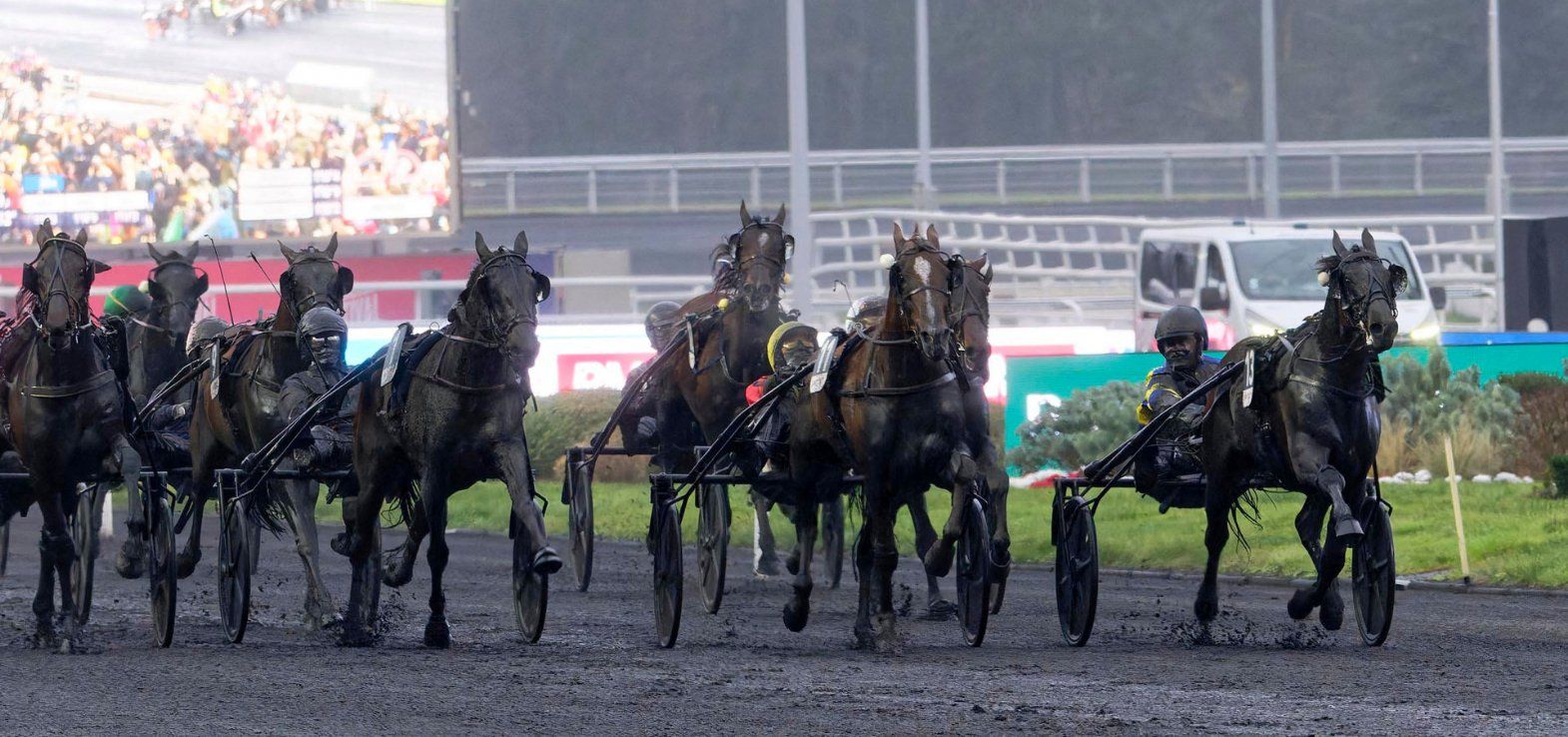 Der var mange heste på målfotoet i Prix d Amerique