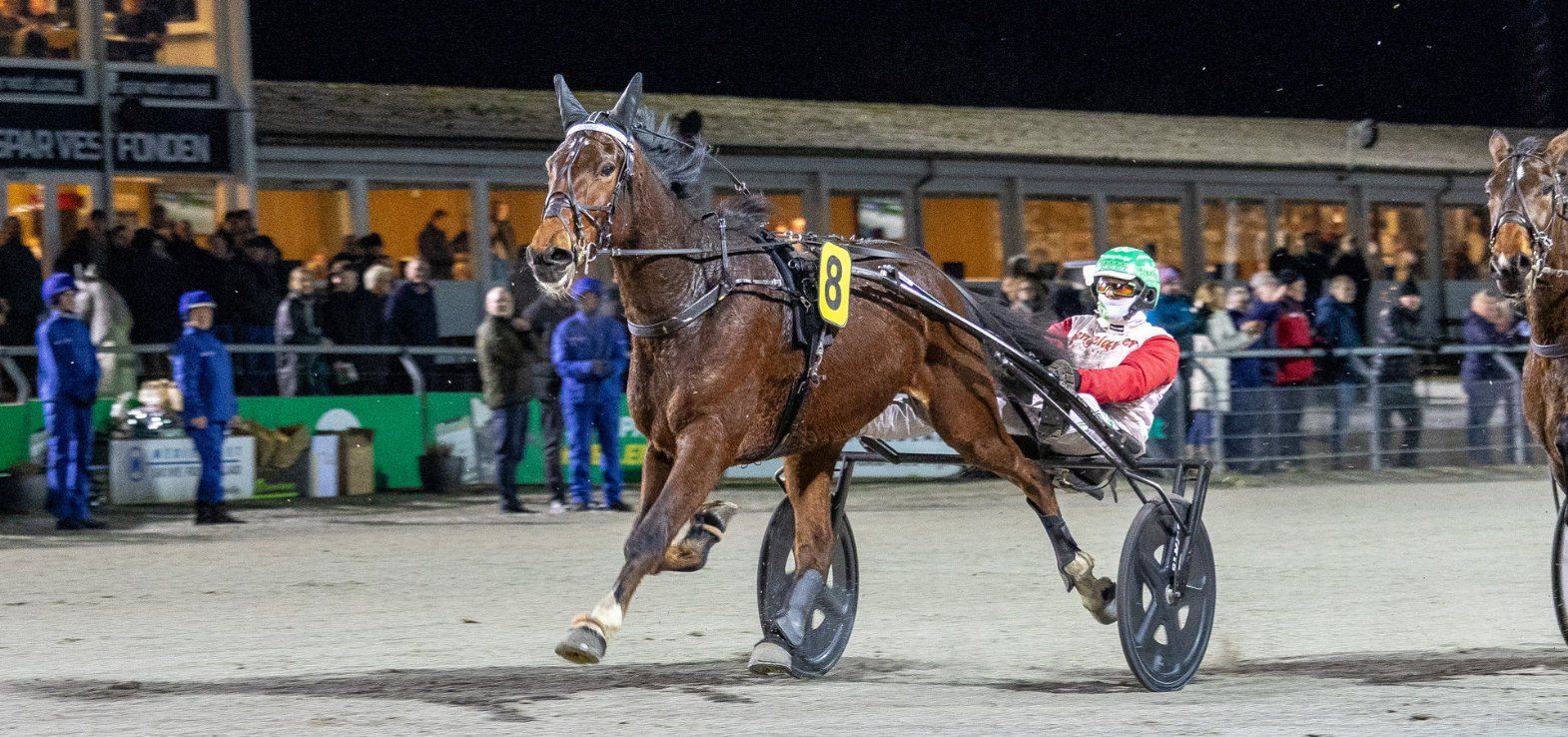 Magnus Ladegaard-trænede Ludvig Cash er fortsat ubesejret i karrieren efter tre starter.