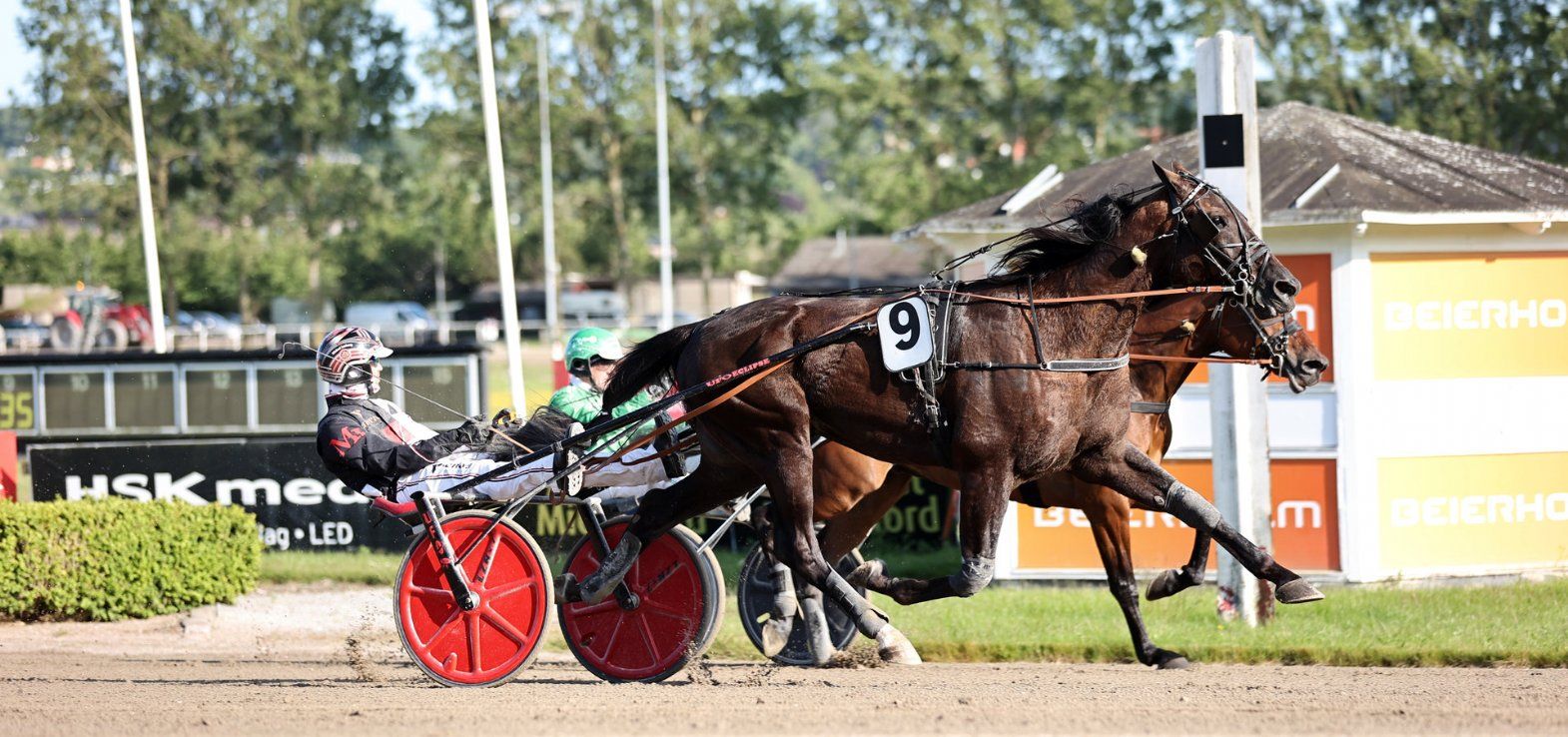 Black Mountain har klar vinderchance fredag eftermiddag i Odense.