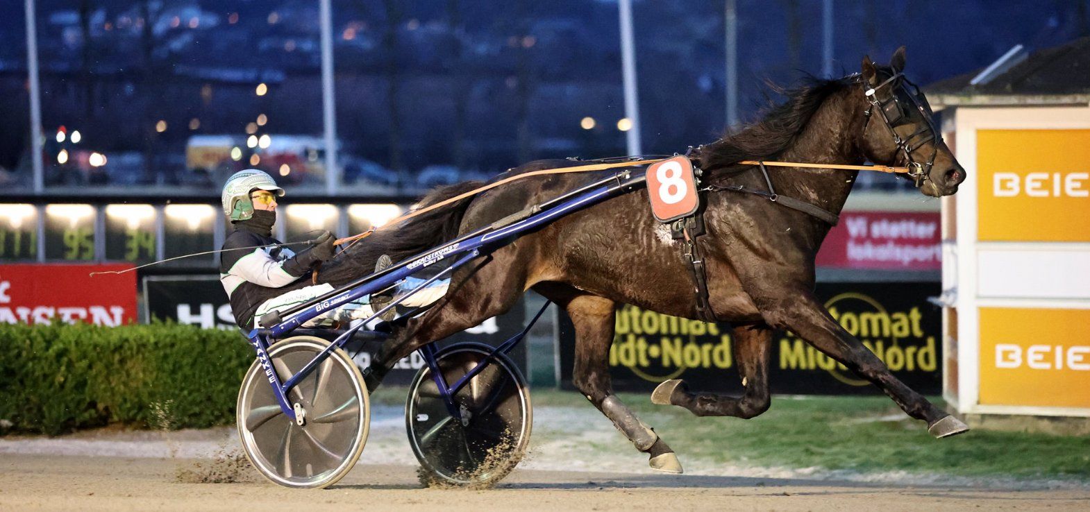 Skive-træner Kasper Foget vinder her med Houdini Shadow i Aalborg.