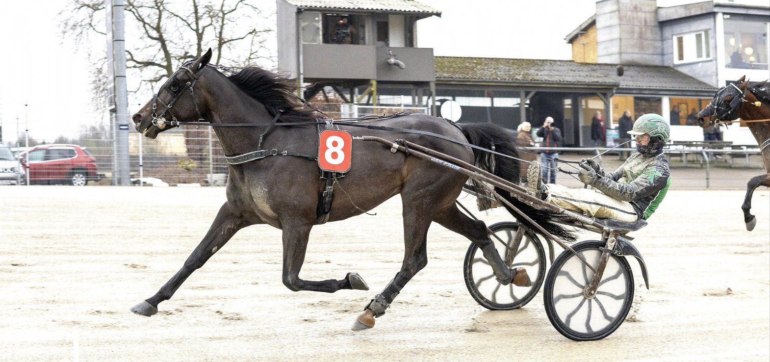 Jan Friis-trænede Jeff vinder i Skive.
