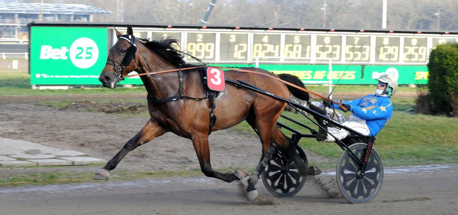 Donovan Face med Jeppe Juel ved en tidligere sejr i Aarhus.