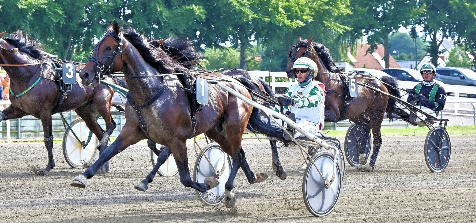 Thinker Monkey ved en sejr i Odense i 2025 med Flemming Jensen i sulkyen.